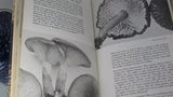 Vintage 1958 Mushroom Hunters Field Guide Book - Attic and Barn Treasures