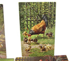 Set of 4 Vintage German Carte Postale Postkarte Postcards Barn Yard Scenes - Attic and Barn Treasures