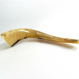 Vintage Polished Narrow Animal Horn - Attic and Barn Treasures
