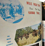 Vintage Grand Canyon Plastichome Travel Series Color Photo Book c.1950s - Attic and Barn Treasures